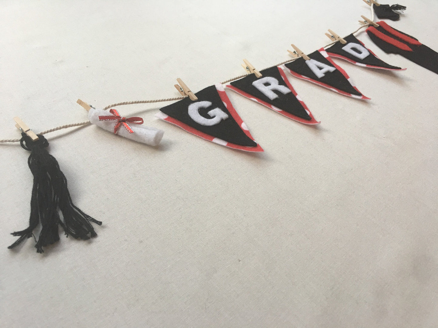 Graduation Miniature Felt Clothesline Banner Garland Bunting Decoration