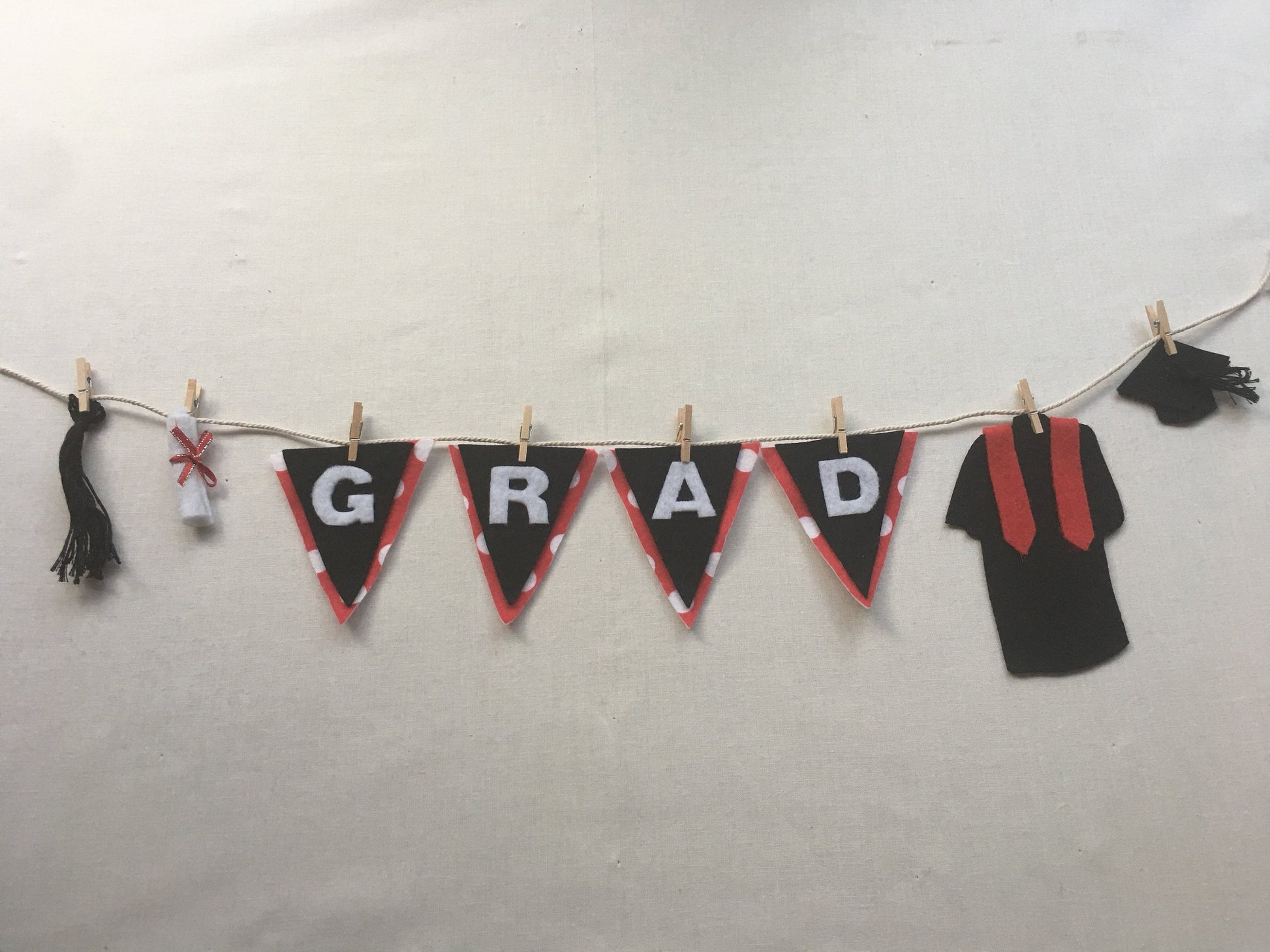 Graduation Miniature Felt Clothesline Banner Garland Bunting Decoration