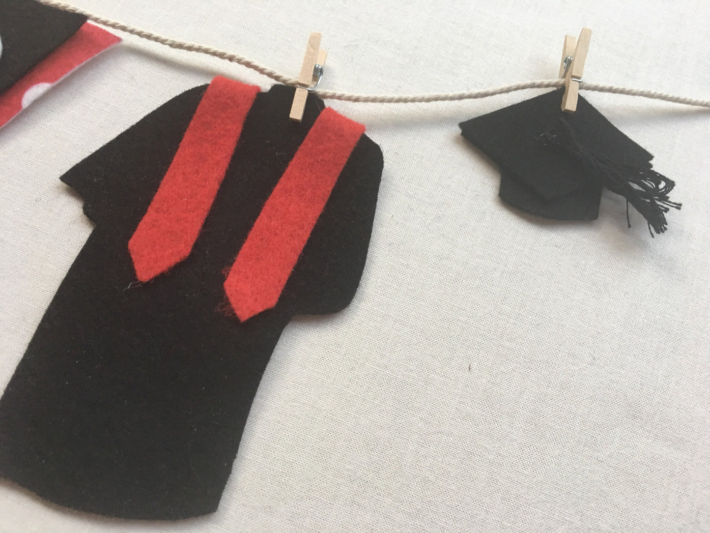Graduation Miniature Felt Clothesline Banner Garland Bunting Decoration