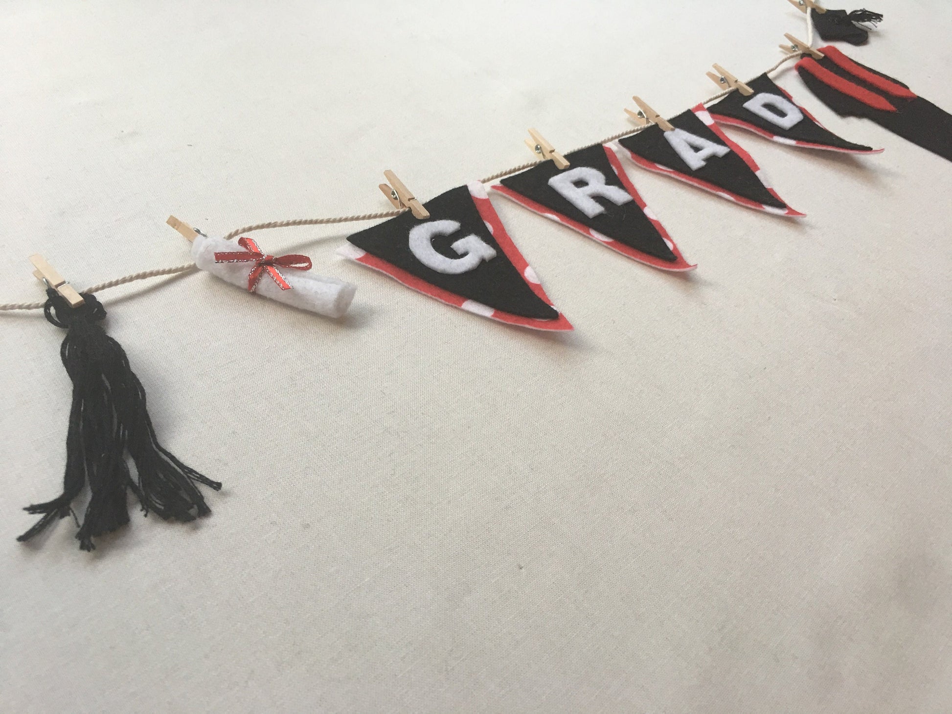 Graduation Miniature Felt Clothesline Banner Garland Bunting Decoration