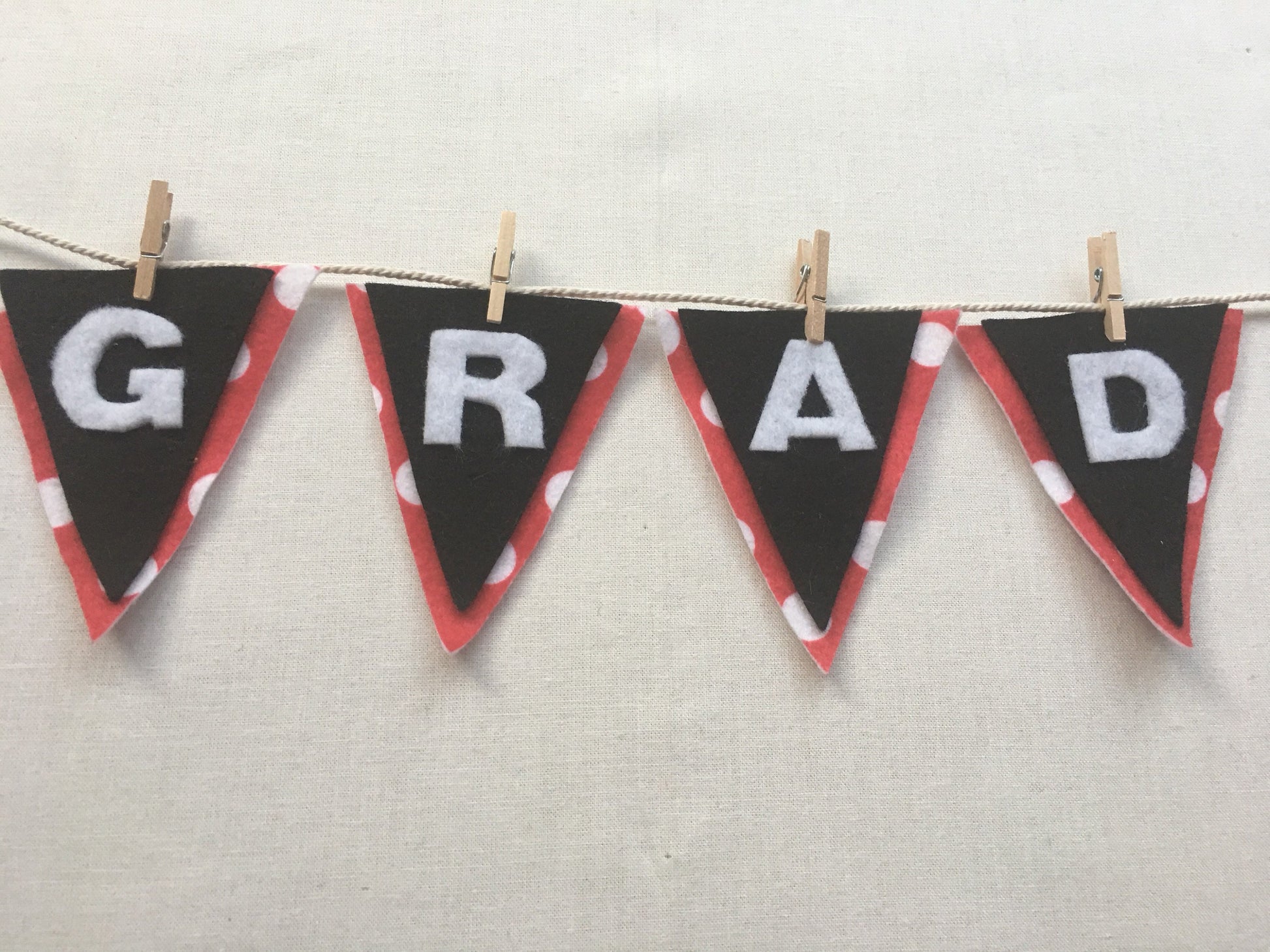 Graduation Miniature Felt Clothesline Banner Garland Bunting Decoration