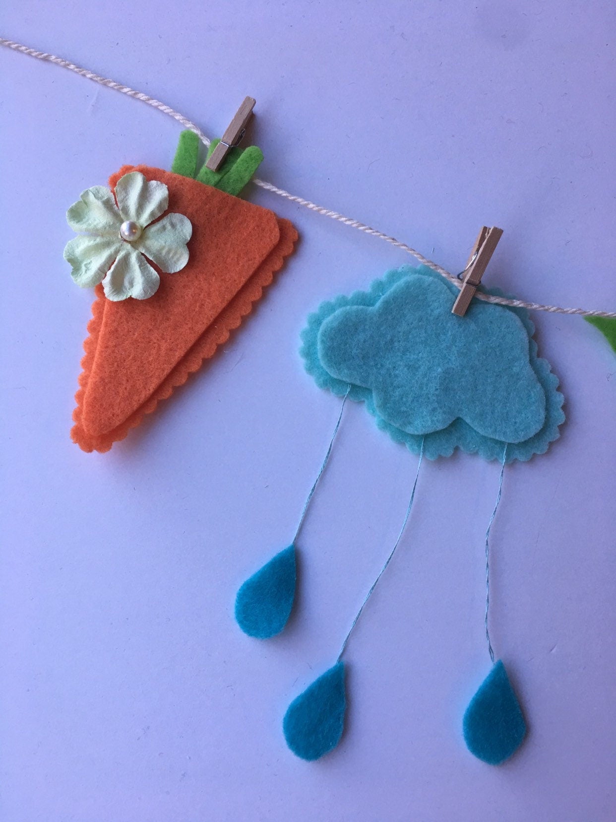 Springtime April Showers Duck Chick Bees Carrot Clothesline Banner Garland Bunting Home Decor Baby Shower Decoration