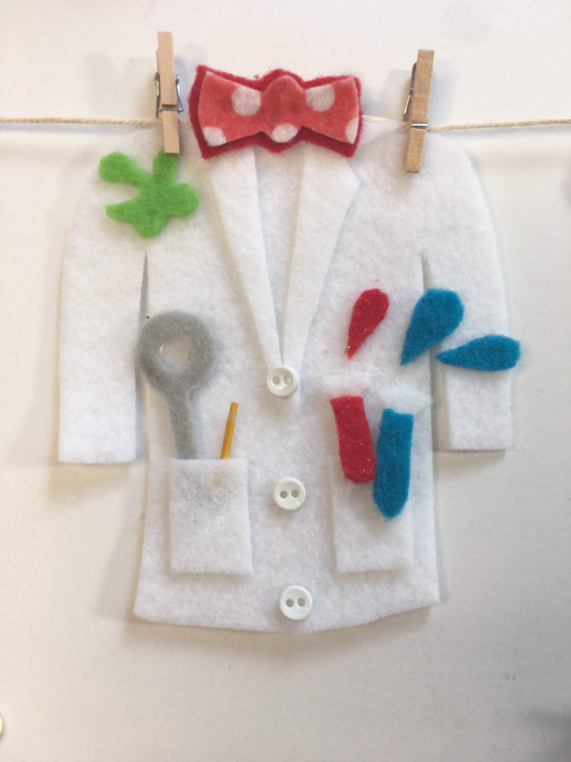 Scientist Miniature Felt Clothesline Banner Garland Bunting Wall Hanging Decoration