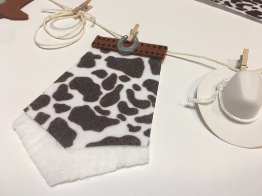 Cowgirl’s Clothesline Miniature Felt Banner Rodeo Bunting Garland Wall Hanging Party Decoration