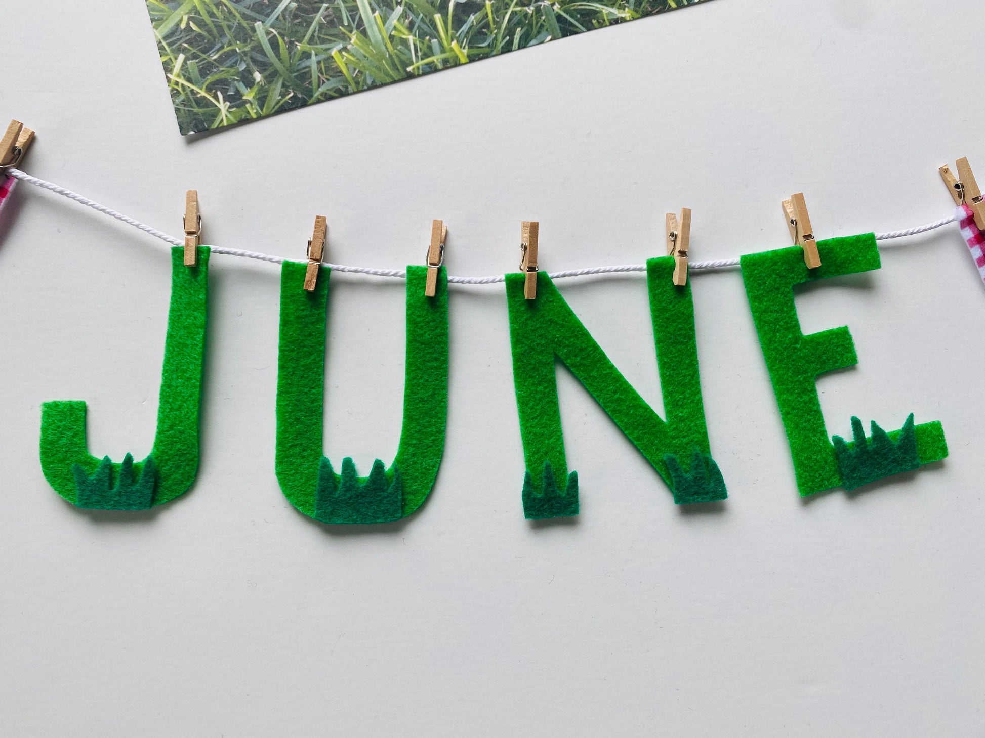 June Monthly Banner, Picnic Garland, Classroom Bulletin Board Bunting with Grass, Ants, Picnic Basket and Lemonade