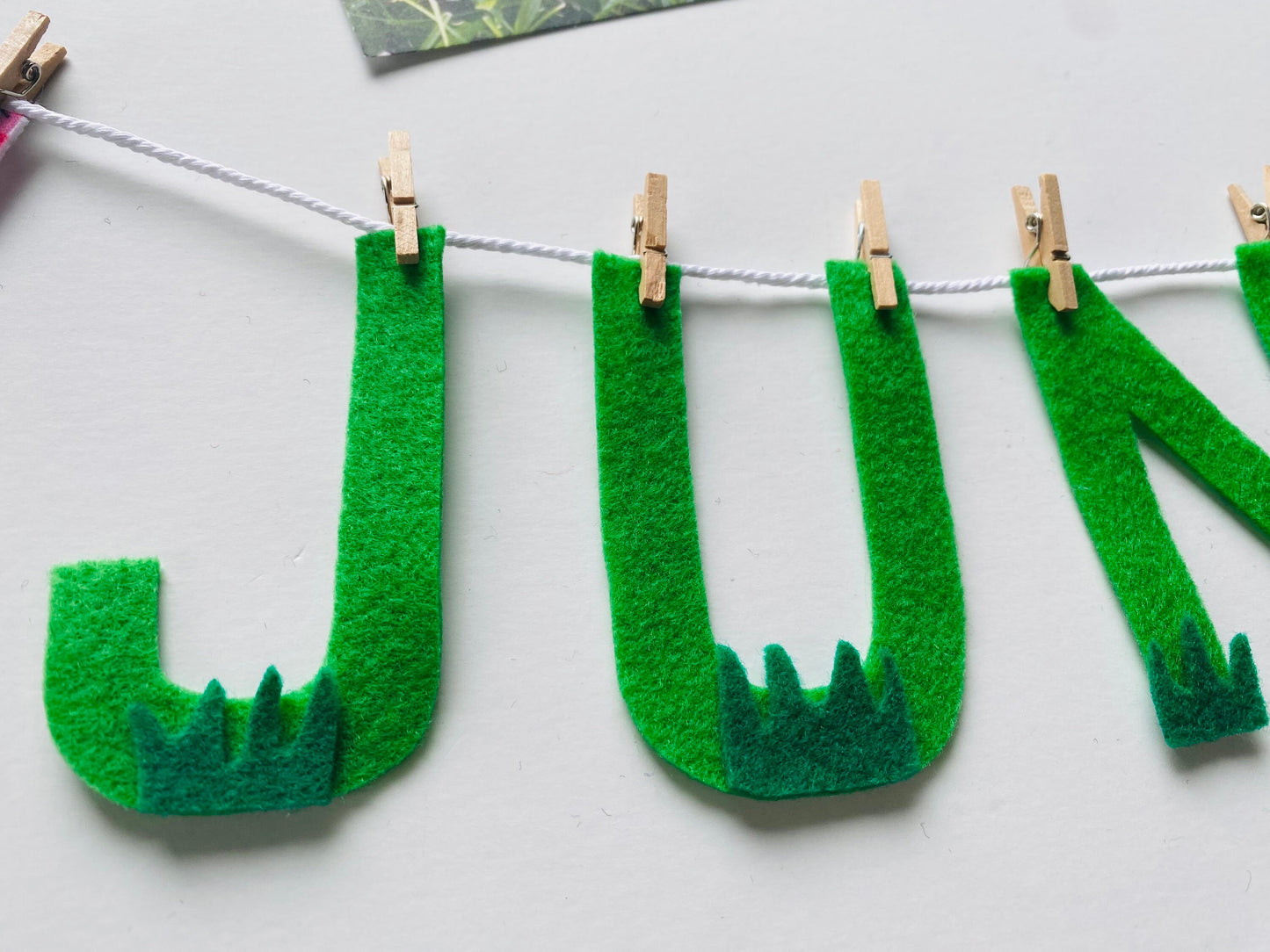 June Monthly Banner, Picnic Garland, Classroom Bulletin Board Bunting with Grass, Ants, Picnic Basket and Lemonade