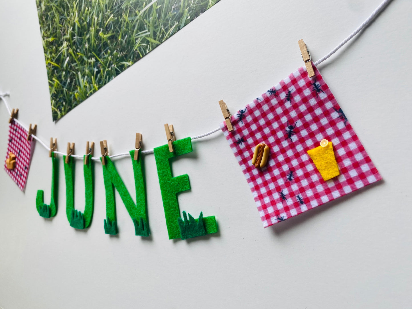 June Monthly Banner, Picnic Garland, Classroom Bulletin Board Bunting with Grass, Ants, Picnic Basket and Lemonade
